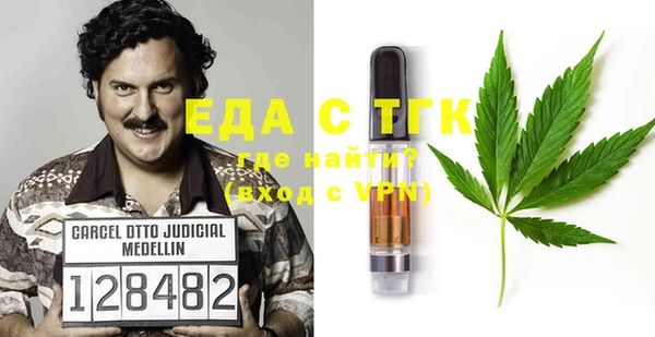 дмт Каменка