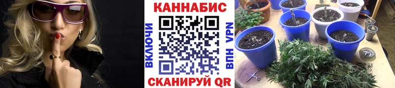 Бошки марихуана White Widow Игра